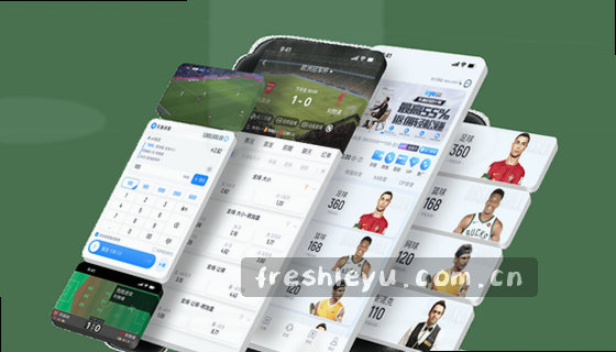 支持的赛事项目包括哪些？