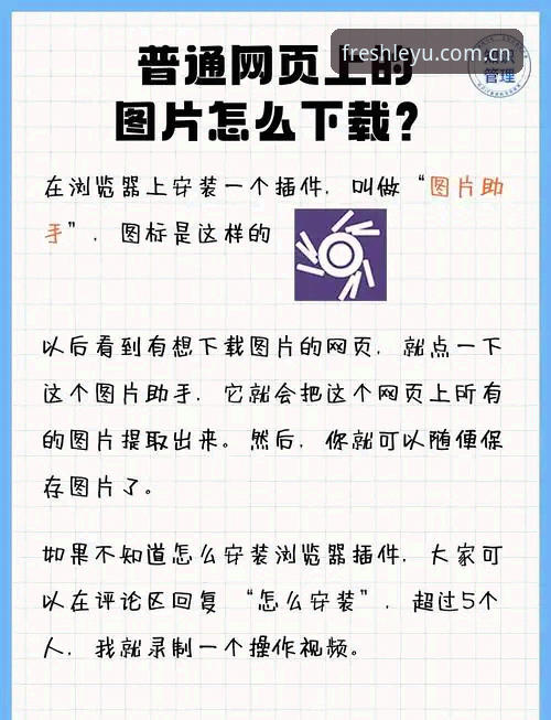 如何正确下载“新版玩出新鲜感”？一个技术细节决定你的使用体验